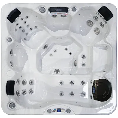 Avalon EC-849L hot tubs for sale in Mesa